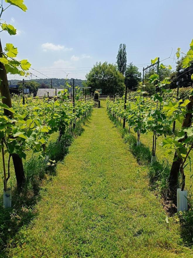 Halte Sint-Gerlach Holiday Home Valkenburg aan de Geul Exteriör bild